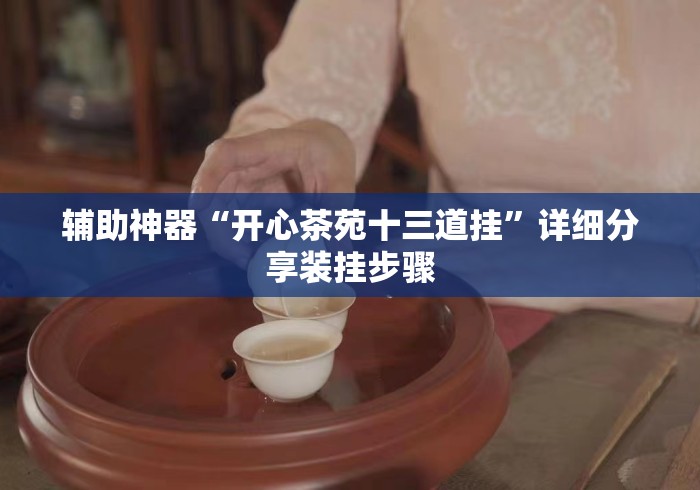 辅助神器“开心茶苑十三道挂”详细分享装挂步骤