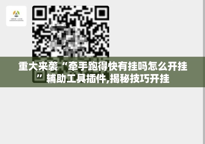 重大来袭“牵手跑得快有挂吗怎么开挂”辅助工具插件,揭秘技巧开挂