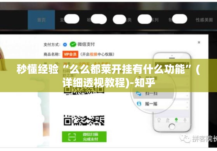 秒懂经验“么么都莱开挂有什么功能	”(详细透视教程)-知乎