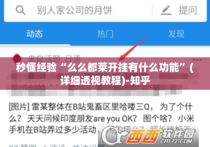 秒懂经验“么么都莱开挂有什么功能”(详细透视教程)-知乎