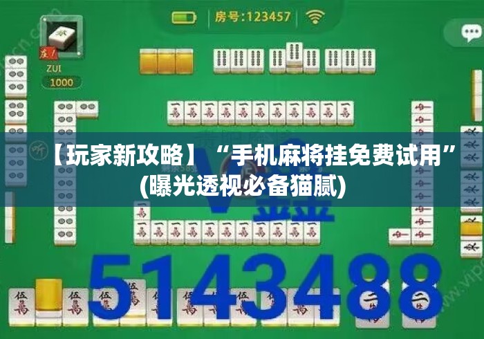 【玩家新攻略】“手机麻将挂免费试用	”(曝光透视必备猫腻)