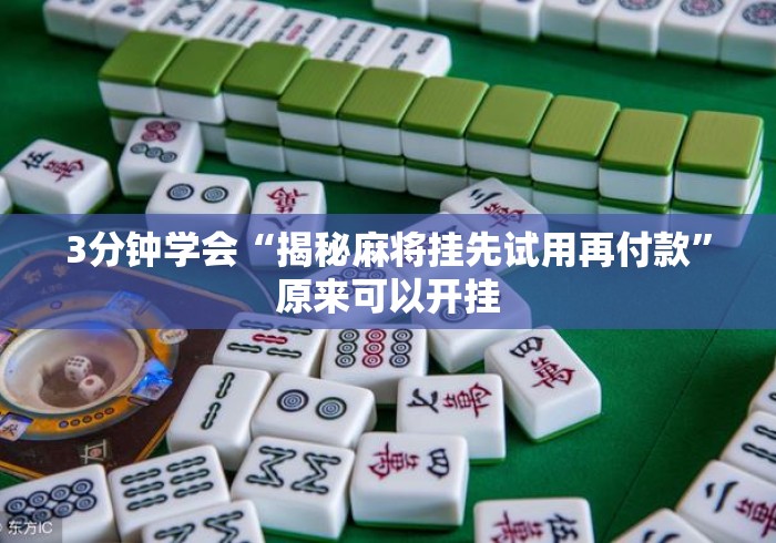 3分钟学会“揭秘麻将挂先试用再付款”原来可以开挂