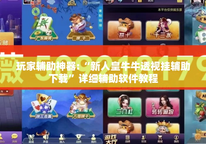 玩家辅助神器:“新人皇牛牛透视挂辅助下载”详细辅助软件教程