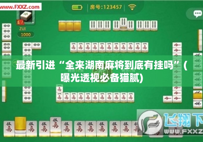 最新引进“全来湖南麻将到底有挂吗”(曝光透视必备猫腻)