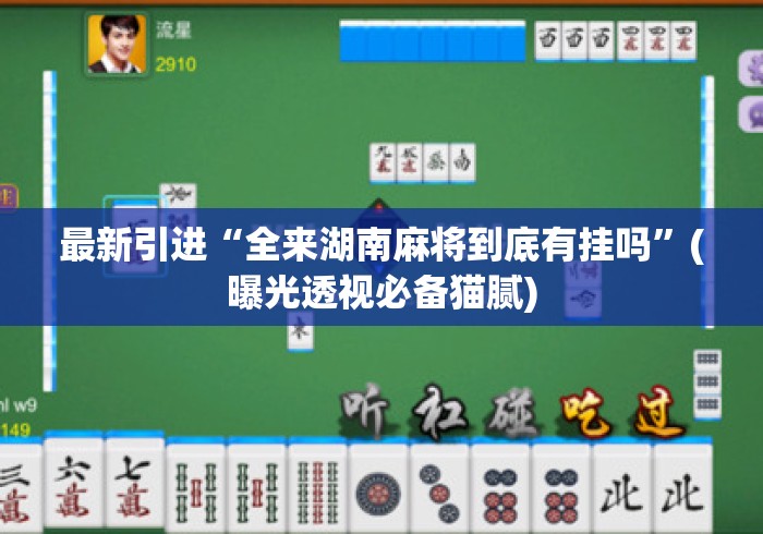 最新引进“全来湖南麻将到底有挂吗	”(曝光透视必备猫腻)