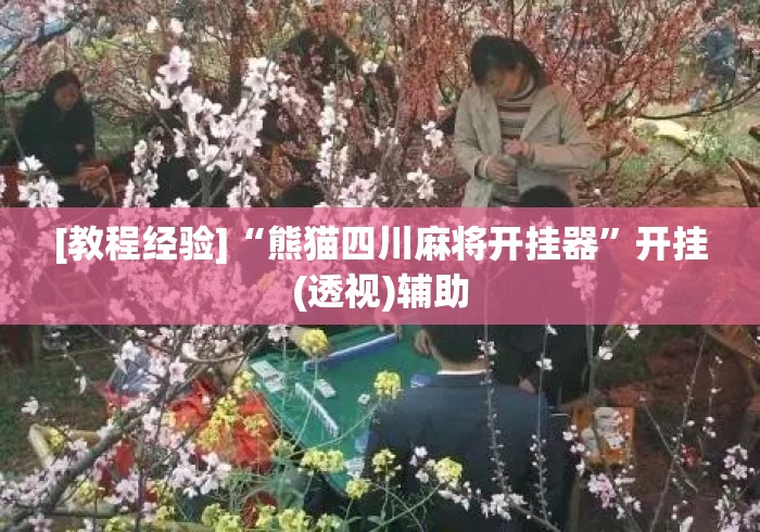 [教程经验]“熊猫四川麻将开挂器	”开挂(透视)辅助