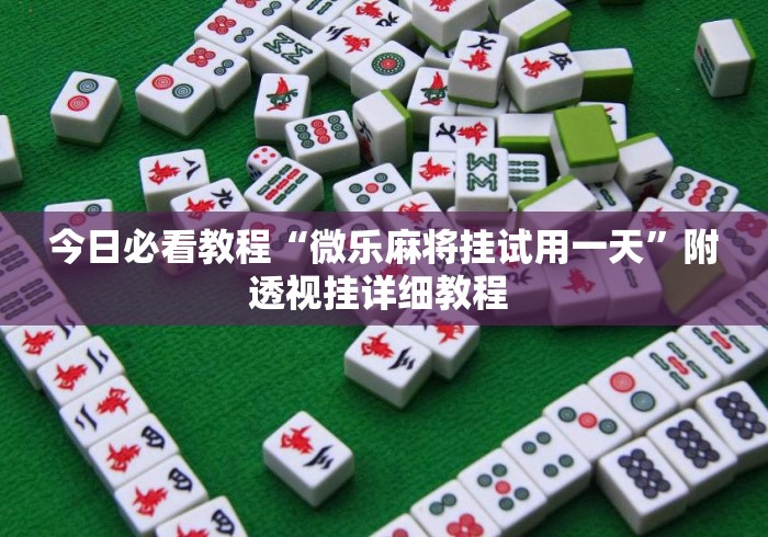 今日必看教程“微乐麻将挂试用一天”附透视挂详细教程 