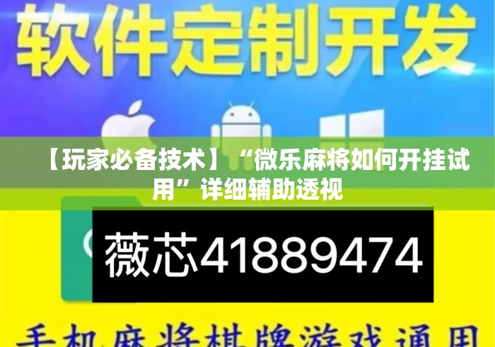 【玩家必备技术】“微乐麻将如何开挂试用”详细辅助透视