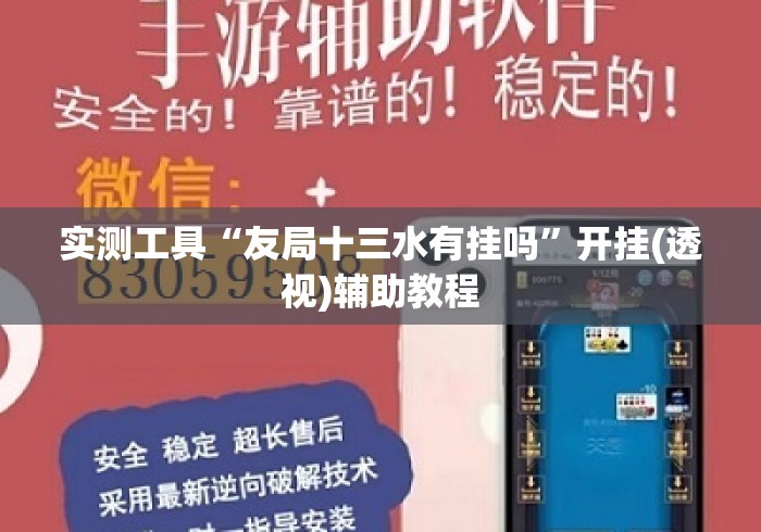 实测工具“友局十三水有挂吗”开挂(透视)辅助教程