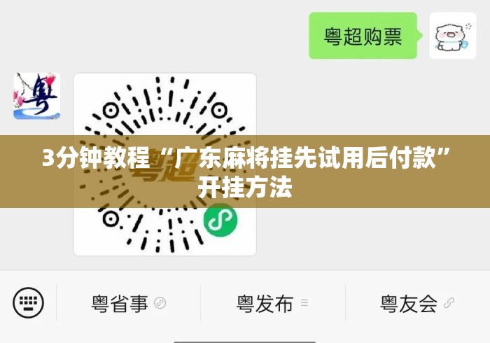 3分钟教程“广东麻将挂先试用后付款”开挂方法