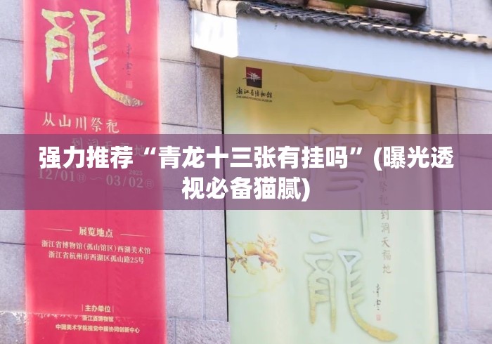 强力推荐“青龙十三张有挂吗	”(曝光透视必备猫腻)