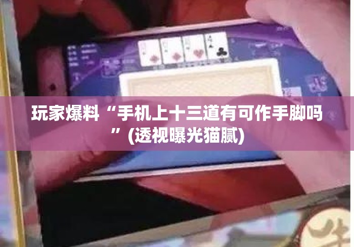 玩家爆料“手机上十三道有可作手脚吗	”(透视曝光猫腻)