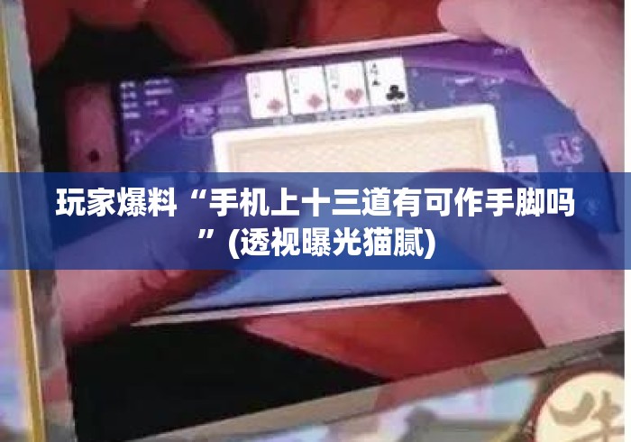 玩家爆料“手机上十三道有可作手脚吗”(透视曝光猫腻)