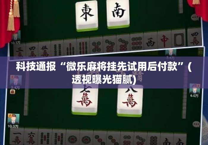 科技通报“微乐麻将挂先试用后付款”(透视曝光猫腻)