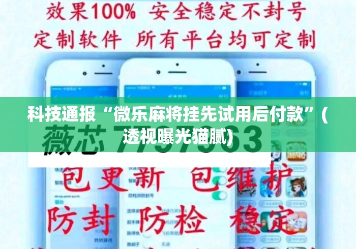 科技通报“微乐麻将挂先试用后付款	”(透视曝光猫腻)