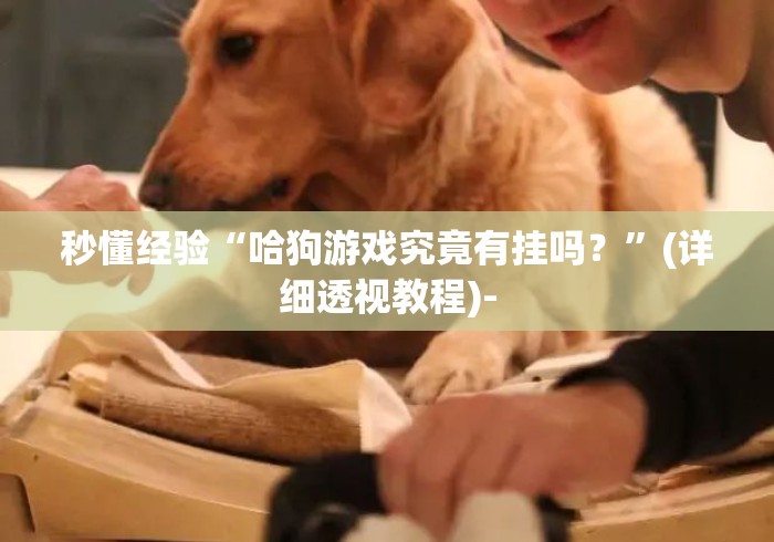 秒懂经验“哈狗游戏究竟有挂吗？”(详细透视教程)-