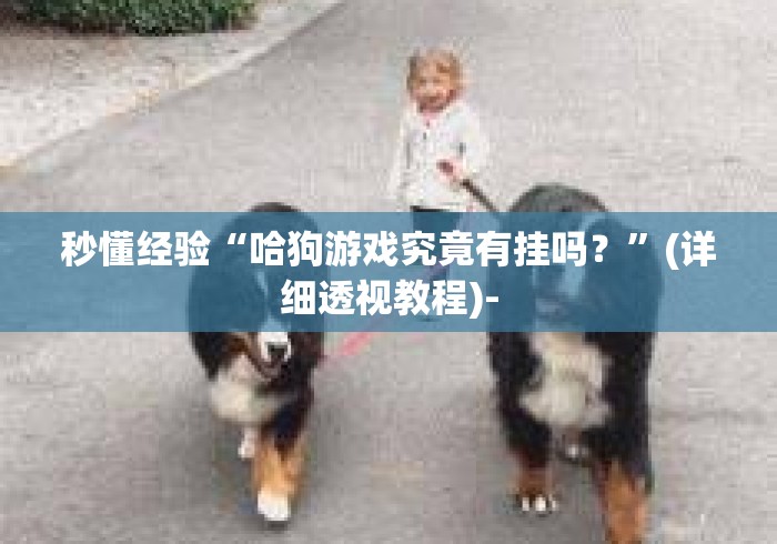 秒懂经验“哈狗游戏究竟有挂吗？	”(详细透视教程)-