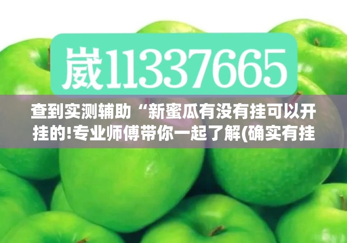 查到实测辅助“新蜜瓜有没有挂可以开挂的!专业师傅带你一起了解(确实有挂) 查到实测辅助“新蜜瓜有没有挂可以开挂的!专业师傅带你一起了解(确实有挂)