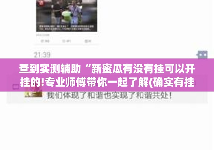 查到实测辅助“新蜜瓜有没有挂可以开挂的!专业师傅带你一起了解(确实有挂) 查到实测辅助“新蜜瓜有没有挂可以开挂的!专业师傅带你一起了解(确实有挂)
