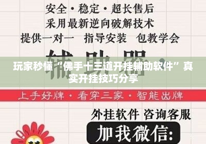 玩家秒懂“佛手十三道开挂辅助软件”真实开挂技巧分享