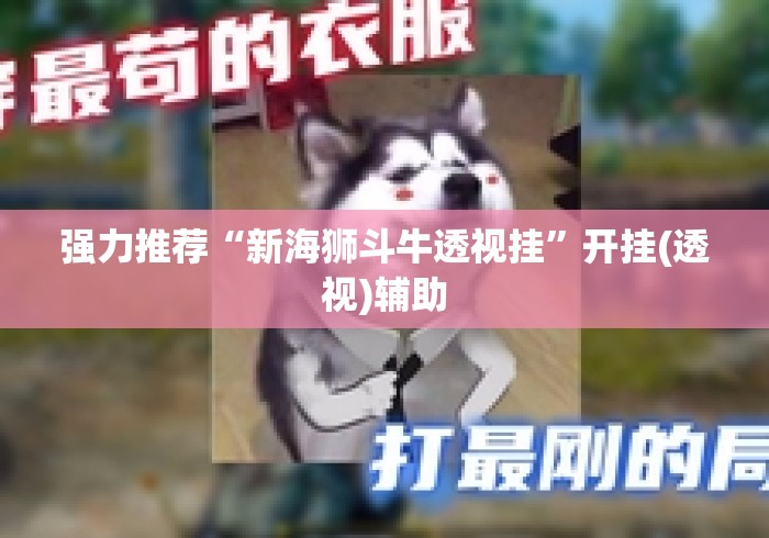 强力推荐“新海狮斗牛透视挂”开挂(透视)辅助