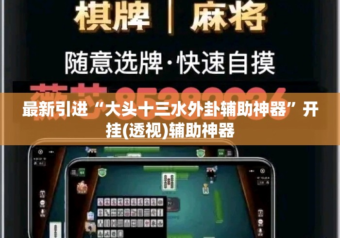 最新引进“大头十三水外卦辅助神器”开挂(透视)辅助神器