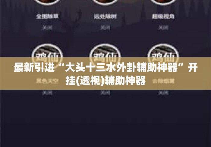 最新引进“大头十三水外卦辅助神器	”开挂(透视)辅助神器