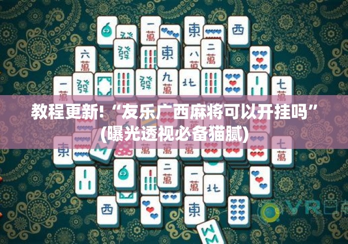 教程更新!“友乐广西麻将可以开挂吗”(曝光透视必备猫腻)