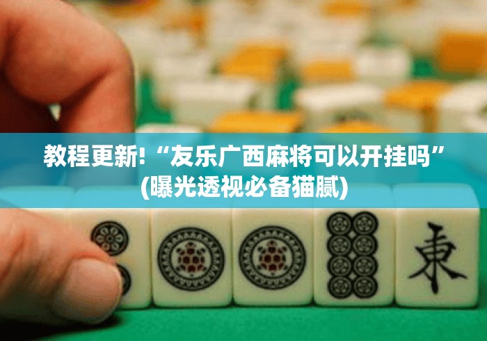 教程更新!“友乐广西麻将可以开挂吗”(曝光透视必备猫腻)
