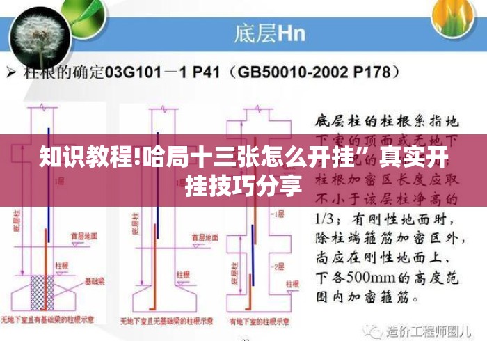 知识教程!哈局十三张怎么开挂”真实开挂技巧分享