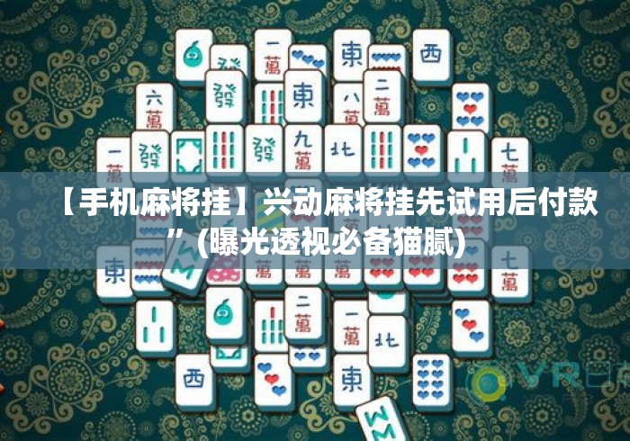 【手机麻将挂】兴动麻将挂先试用后付款”(曝光透视必备猫腻)