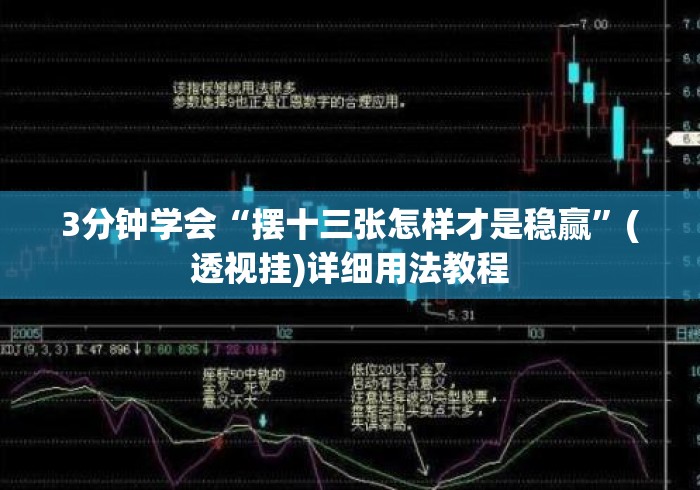 3分钟学会“摆十三张怎样才是稳赢”(透视挂)详细用法教程