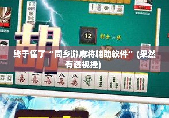 终于懂了“同乡游麻将辅助软件	”(果然有透视挂) 