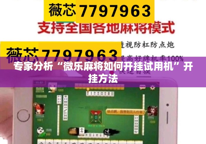 专家分析“微乐麻将如何开挂试用机”开挂方法