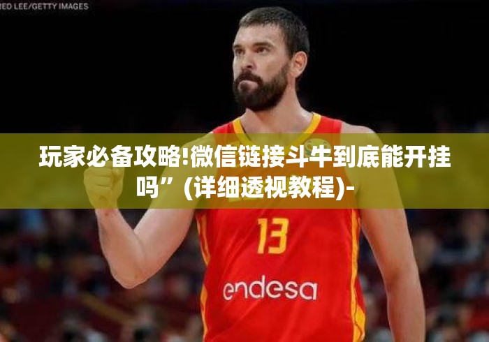玩家必备攻略!微信链接斗牛到底能开挂吗”(详细透视教程)-