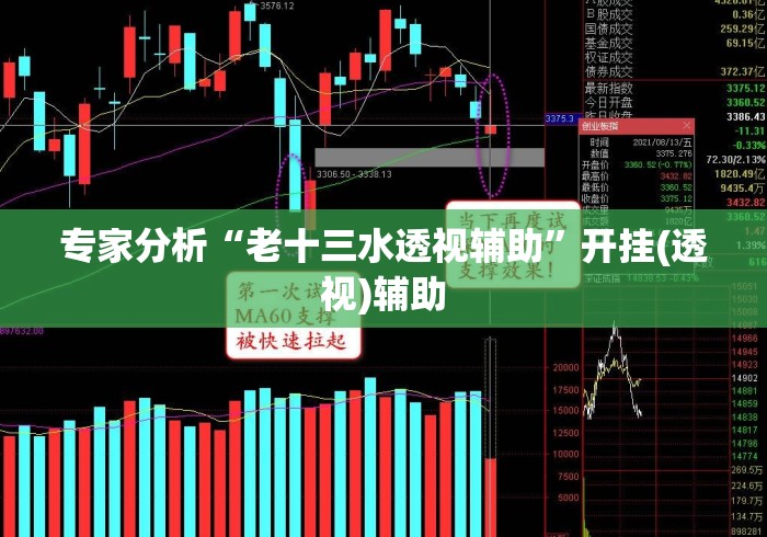 专家分析“老十三水透视辅助”开挂(透视)辅助
