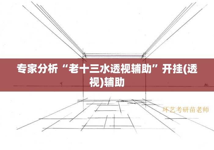 专家分析“老十三水透视辅助	”开挂(透视)辅助