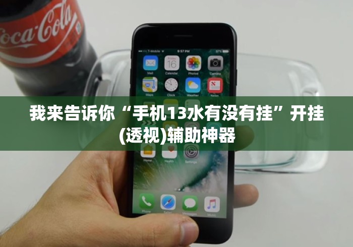 我来告诉你“手机13水有没有挂”开挂(透视)辅助神器
