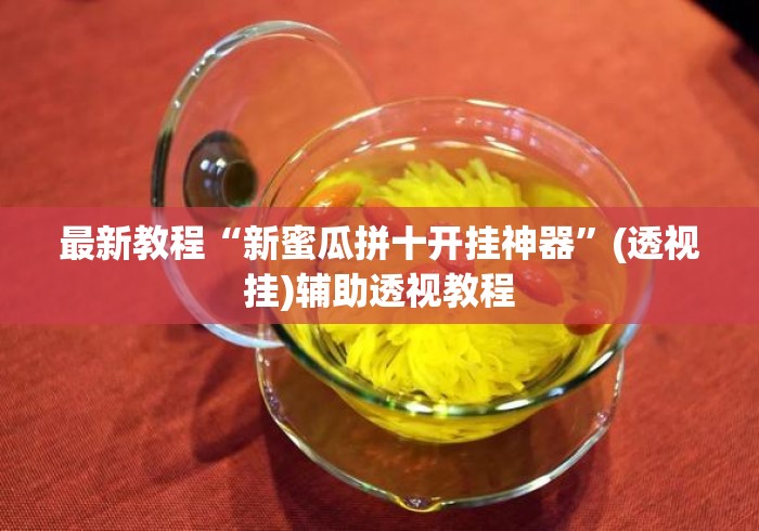 最新教程“新蜜瓜拼十开挂神器	”(透视挂)辅助透视教程