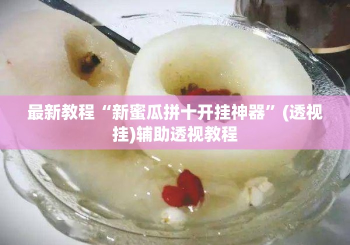 最新教程“新蜜瓜拼十开挂神器”(透视挂)辅助透视教程