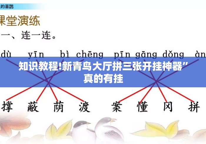 知识教程!新青鸟大厅拼三张开挂神器	”真的有挂