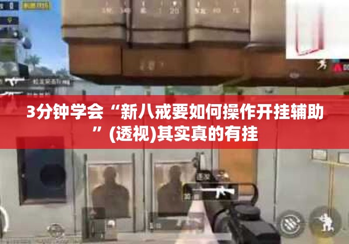 3分钟学会“新八戒要如何操作开挂辅助”(透视)其实真的有挂