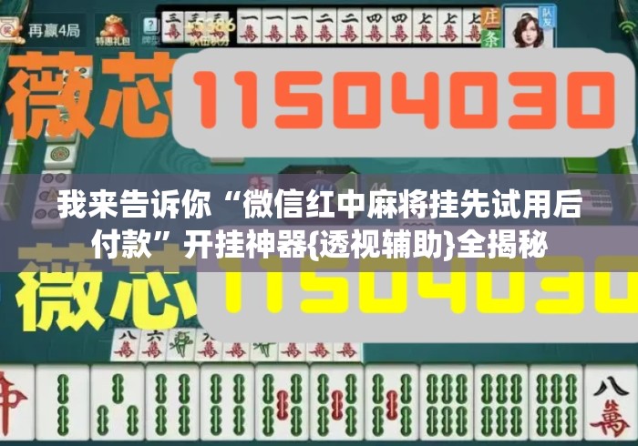 我来告诉你“微信红中麻将挂先试用后付款”开挂神器{透视辅助}全揭秘