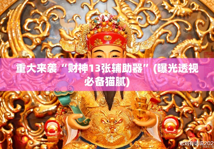 重大来袭“财神13张辅助器”(曝光透视必备猫腻)