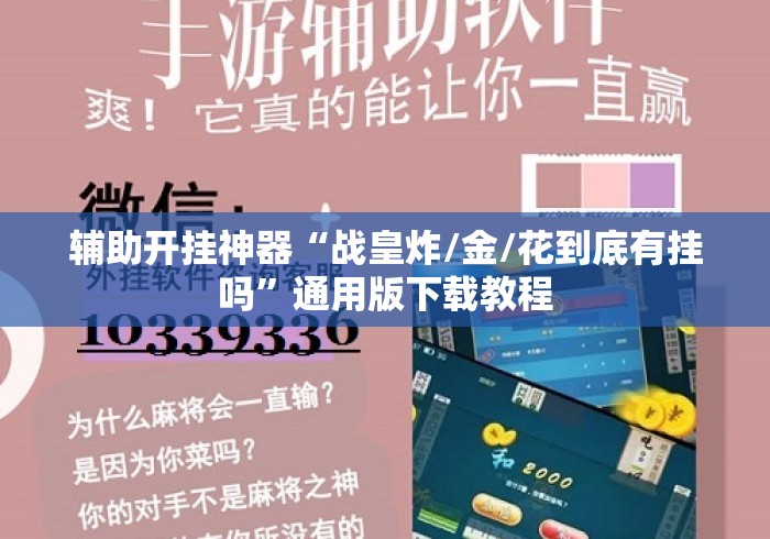 辅助开挂神器“战皇炸/金/花到底有挂吗”通用版下载教程