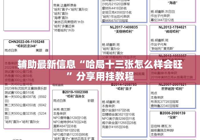 辅助最新信息“哈局十三张怎么样会旺”分享用挂教程