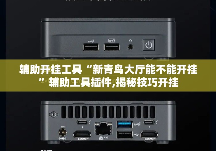 辅助开挂工具“新青鸟大厅能不能开挂”辅助工具插件,揭秘技巧开挂