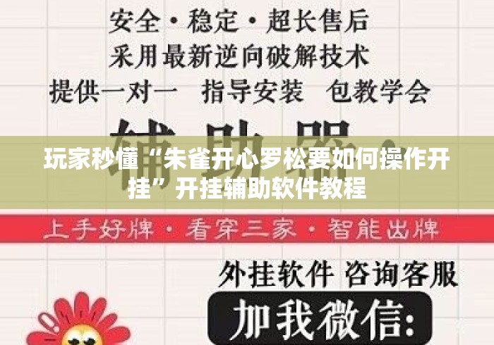玩家秒懂“朱雀开心罗松要如何操作开挂”开挂辅助软件教程