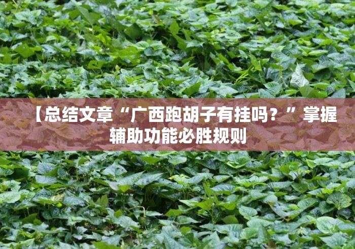 【总结文章“广西跑胡子有挂吗？	”掌握辅助功能必胜规则