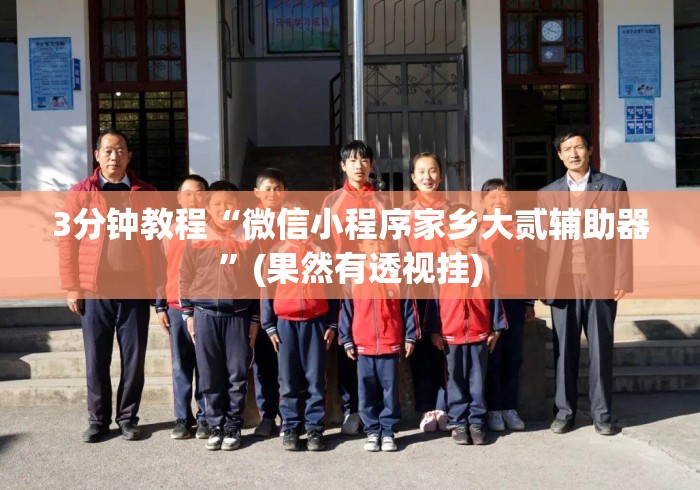 3分钟教程“微信小程序家乡大贰辅助器”(果然有透视挂)